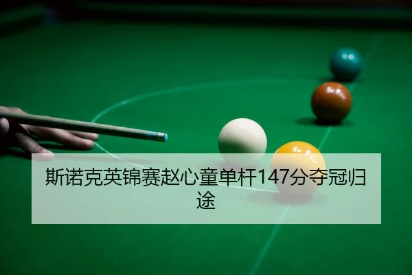 si-nuo-ke-ying-jin-sai-zhao-xin-tong-dan-gan-fen-duo-guan-gui-tu-3-288.jpg